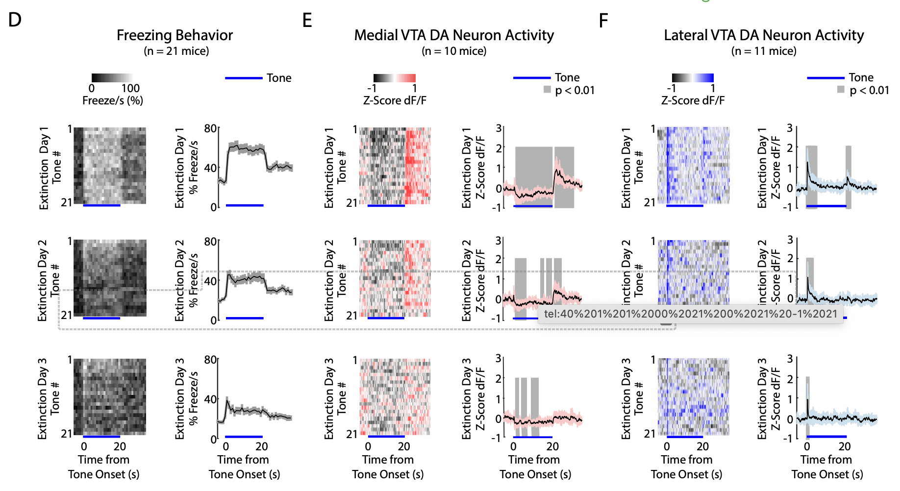 Distinct signals in medial and lateral VTA dopamine neurons modulate fear extinction at different times.