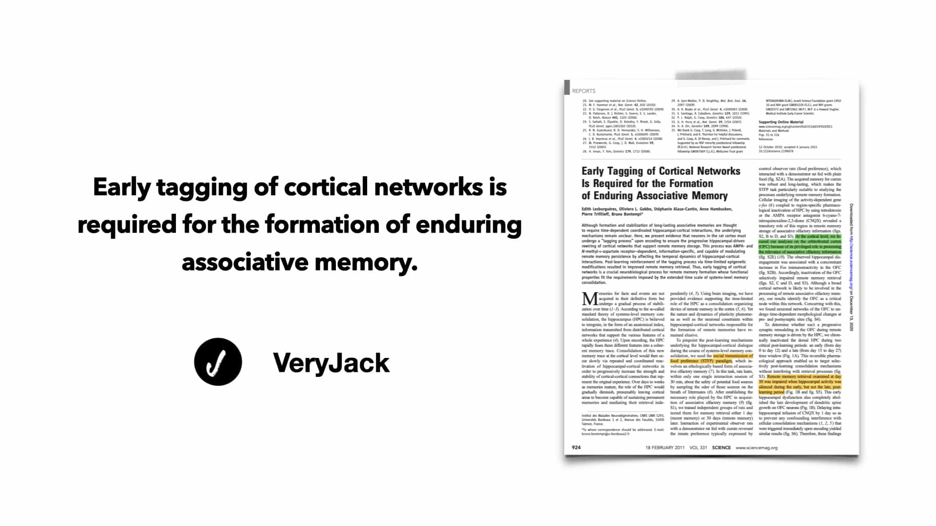 Early tagging of cortical networks is required for the formation of enduring associative memory.