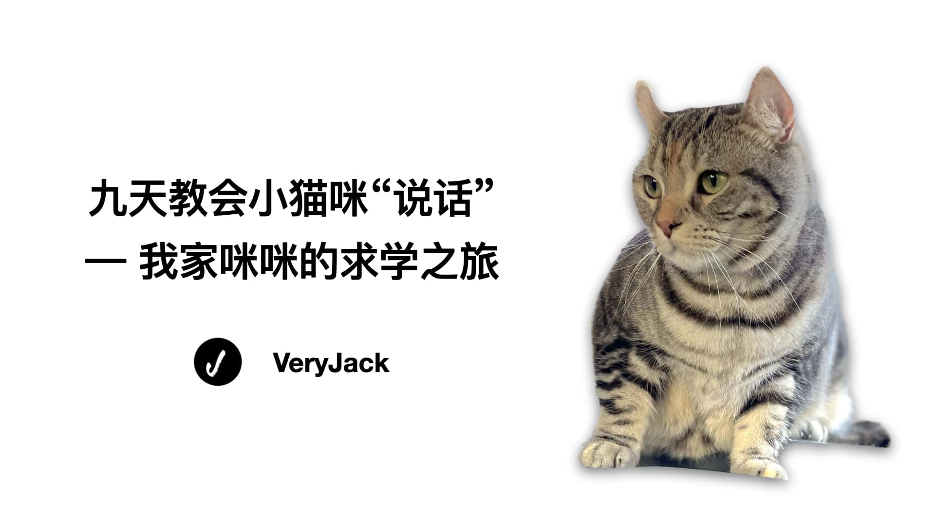 九天教会小猫咪“说话” -- 我家咪咪的求学之旅