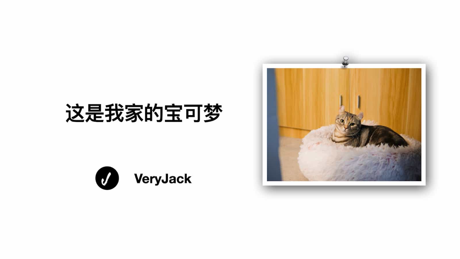 这是我家的宝可梦
