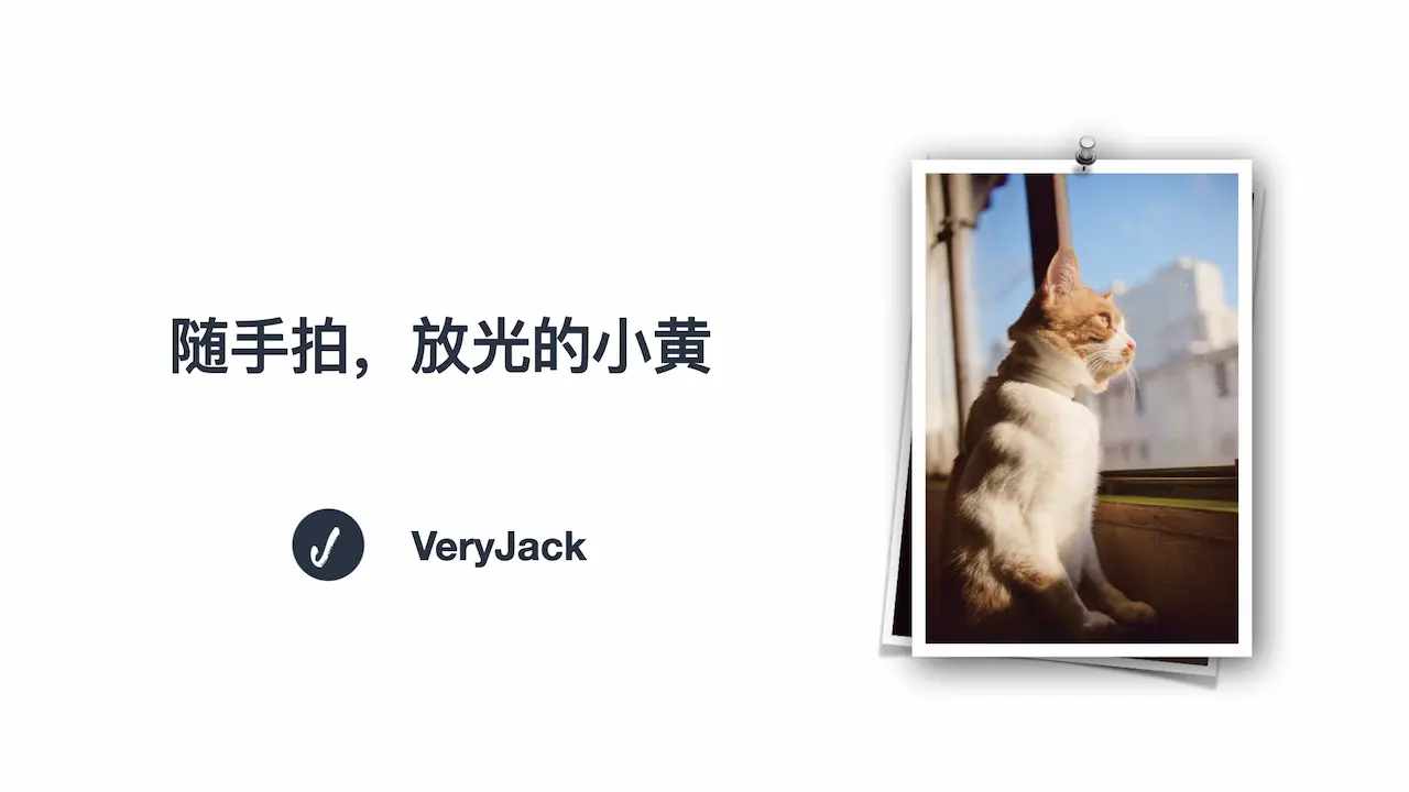 随手拍，放光的小黄
