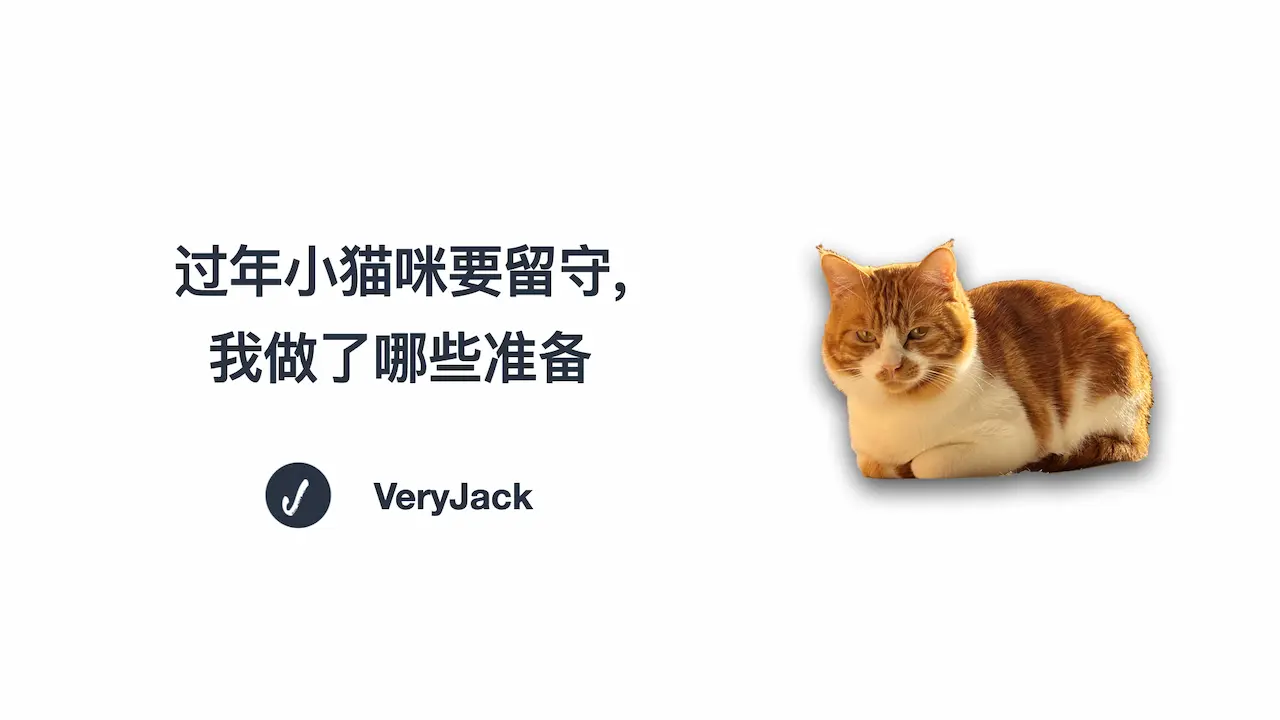 过年小猫咪要留守，我做了哪些准备