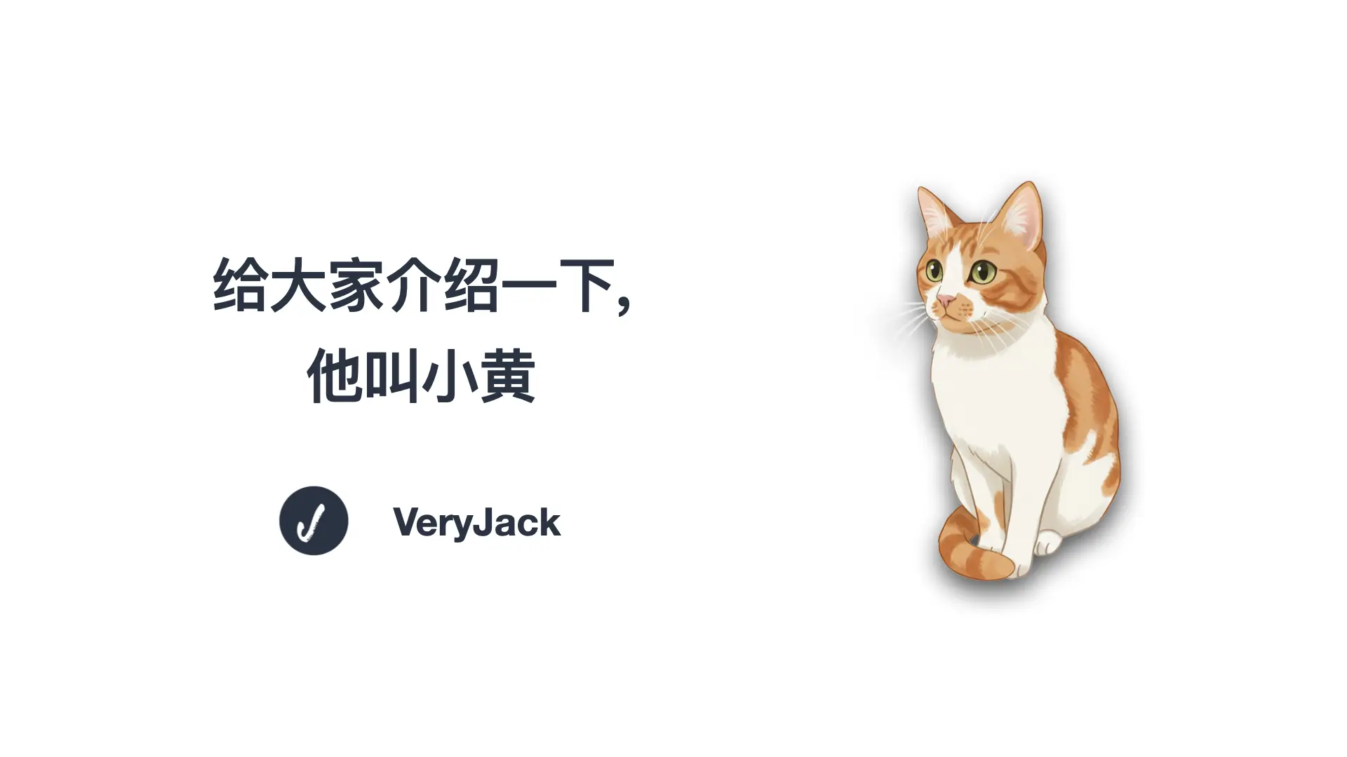 给大家介绍一下，他叫小黄